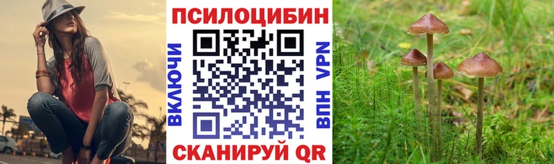 Купить  Владикавказ  Псилоцибиновые грибы GOLDEN TEACHER 